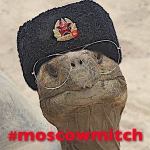 Meet your Posher, Felipe